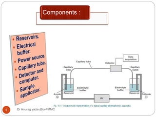 Components :
Dr Anurag yadav,Bio-FMMC5
 