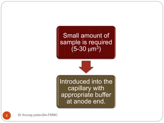 Dr Anurag yadav,Bio-FMMC6
Small amount of
sample is required
(5-30 μm3)
Introduced into the
capillary with
appropriate buffer
at anode end.
 