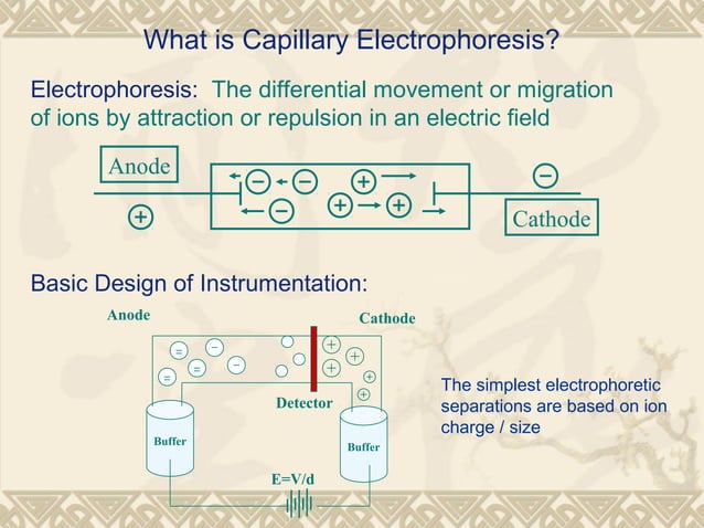 Capillary electrophoresis final ppt. | PPT