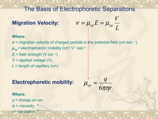 The Basis of Electrophoretic Separations
Migration Velocity:
Where:
v = migration velocity of charged particle in the potential field (cm sec -1
)
µep = electrophoretic mobility (cm2
V-1
sec-1)
E = field strength (V cm -1
)
V = applied voltage (V)
L = length of capillary (cm)
Electrophoretic mobility:
Where:
q = charge on ion
η = viscosity
r = ion radius Frictional retarding forces
L
V
E epep µµν ==
r
q
ep
πη
µ
6
=
 