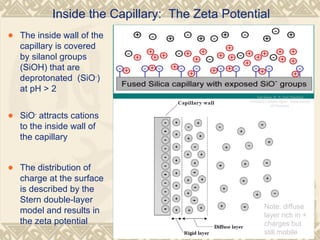 Inside the Capillary: The Zeta Potential
• The inside wall of the
capillary is covered
by silanol groups
(SiOH) that are
deprotonated (SiO-
)
at pH > 2
• SiO-
attracts cations
to the inside wall of
the capillary
• The distribution of
charge at the surface
is described by the
Stern double-layer
model and results in
the zeta potential
Top figure: R. N. Zare (Stanford
University), bottom figure: Royal Society
of Chemistry
Note: diffuse
layer rich in +
charges but
still mobile
 