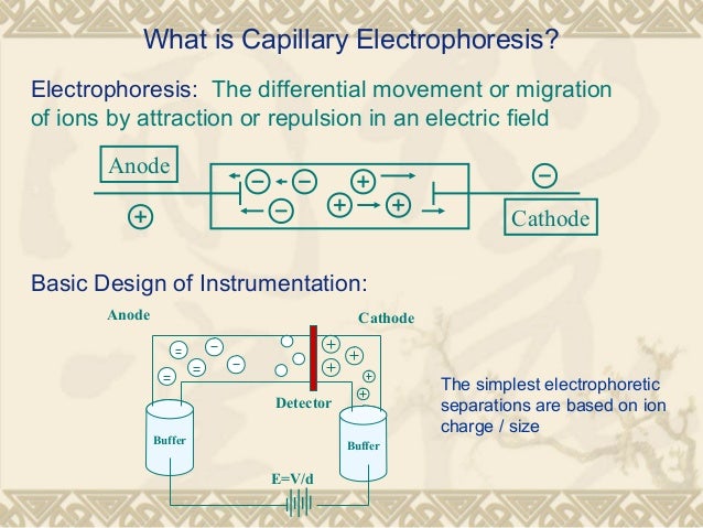 Capillary Electrophoresis Final Ppt - 