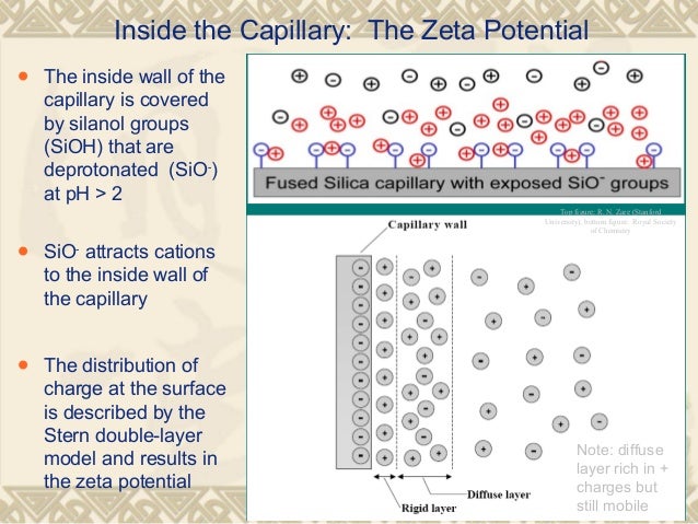 Capillary Electrophoresis Final Ppt - 