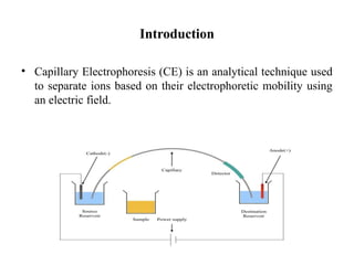 Comprehensive Overview of Capillary Electrophoresis: Principles ...