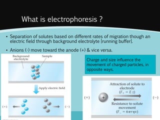 Capillary electrophoresis principles and applications | PPTX