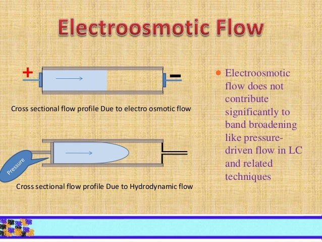 proton pump