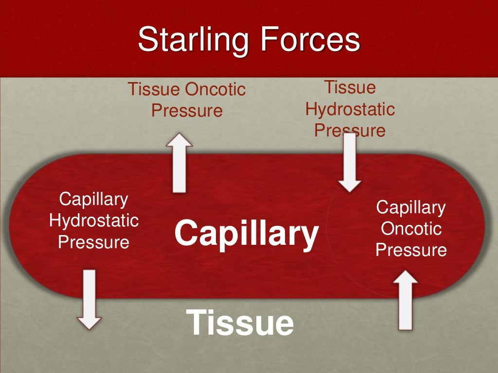 Capillary filtration pressure