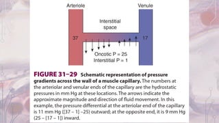Capillary function | PPT