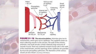 Capillary function | PPT