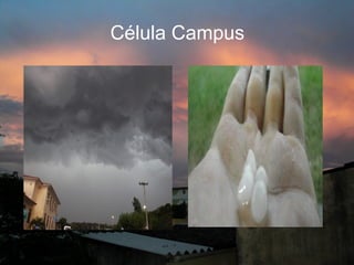Célula Campus
 