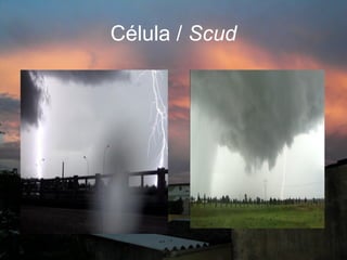 Célula / Scud
 