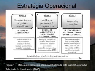 Estratégia Operacional




Figura 1 – Modelo de estratégia operacional adotado pelo CapinchoCumulus
Adaptado de Nascimento (2005)
 