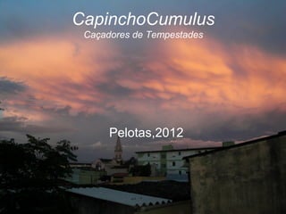 CapinchoCumulus
 Caçadores de Tempestades




      Pelotas,2012
 