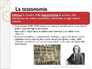 La tassonomiaLa tassonomia
Scuola Secondaria Bolgare. Prof. Locatelli 10
 