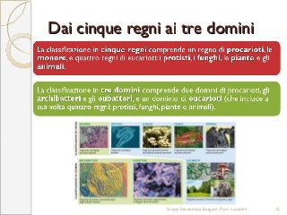 Dai cinque regni ai tre dominiDai cinque regni ai tre domini
Scuola Secondaria Bolgare. Prof. Locatelli 12
 