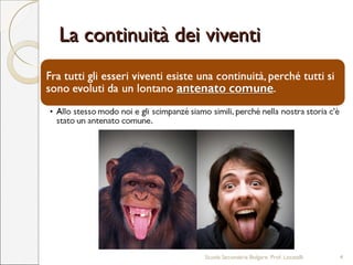La continuità dei viventiLa continuità dei viventi
Scuola Secondaria Bolgare. Prof. Locatelli 4
 