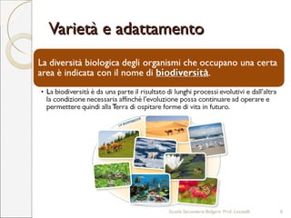 Varietà e adattamentoVarietà e adattamento
Scuola Secondaria Bolgare. Prof. Locatelli 6
 