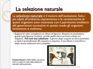 La selezione naturaleLa selezione naturale
Scuola Secondaria Bolgare. Prof. Locatelli 7
Charles Darwin (1809-1882), per primo
arrivò a capire il ruolo della selezione
naturale nell’evoluzione.
 