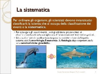 La sistematicaLa sistematica
Scuola Secondaria Bolgare. Prof. Locatelli 9
 