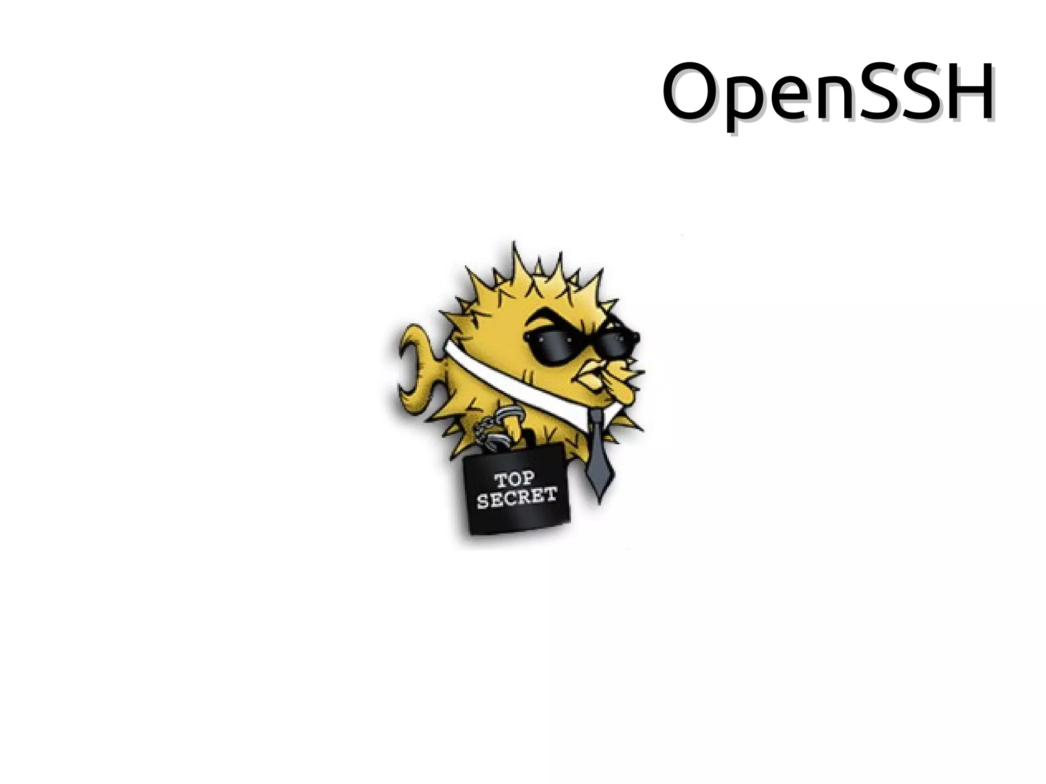 OpenSSH
 
