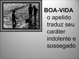 BOA-VIDA
 o apelido
 traduz seu
 caráter
 indolente e
 sossegado
 