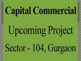 9650100436 Capital Square Sector 104 Gurgaon/GOOD CONNECTIVITY