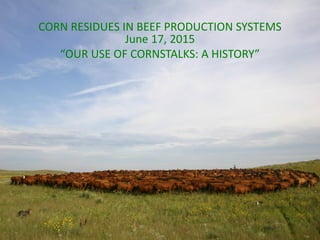 June 17, 2015
“OUR USE OF CORNSTALKS: A HISTORY”
CORN RESIDUES IN BEEF PRODUCTION SYSTEMS
 