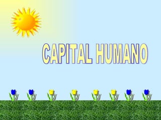 CAPITAL HUMANO 