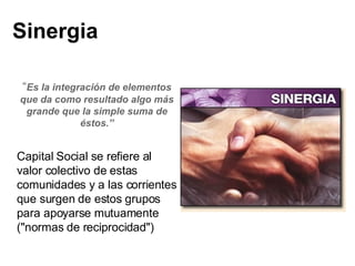 Sinergia “ E s la integración de elementos que da como resultado algo más grande que la simple suma de éstos .” Capital Social se refiere al valor colectivo de estas comunidades y a las corrientes que surgen de estos grupos para apoyarse mutuamente ("normas de reciprocidad")  
