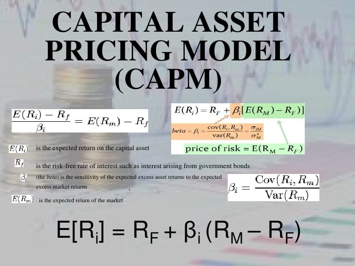 importance of capital asset pricing model