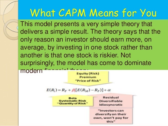 capital asset pricing model equation