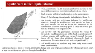Capital asset pricing model | PDF