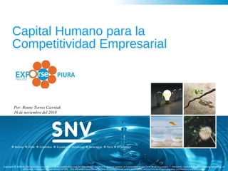 Capital Humano para la Competitividad Empresarial Por: Ronny Torres Czerniak 16 de noviembre del 2010 