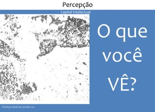 II Seminário de Instrutores e Gestores de Educação dos Correios 
O que 
você 
VÊ? 
Percepção 
Professor Daniel de Carvalho Luz 
Capital Intelectual 
 