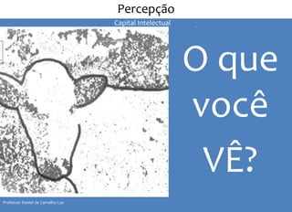 II Seminário de Instrutores e Gestores de Educação dos Correios 
O que 
você 
VÊ? 
Percepção 
Professor Daniel de Carvalho Luz 
Capital Intelectual 
 