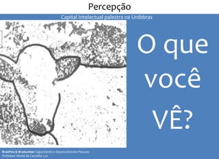 O que
você
VÊ?
II Seminário de Instrutores e Gestores de Educação dos Correios
Percepção
BrasPine & Braslumber Capacitando e desenvolvendo Pessoas
Professor Daniel de Carvalho Luz
Capital Intelectual palestra na Unibbras
 