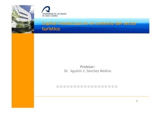 Capital intelectual en el contexto del sector
turístico




                    Profesor:
          Dr. Agustín J. Sánchez Medina




                                            1
 