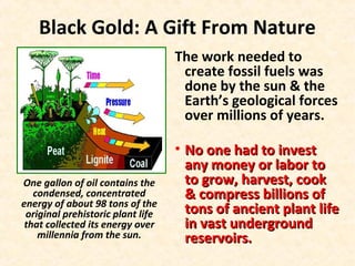 Black Gold: A Gift From Nature
The work needed to
create fossil fuels was
done by the sun & the
Earth’s geological forces
over millions of years.
• No one had to investNo one had to invest
any money or labor toany money or labor to
to grow, harvest, cookto grow, harvest, cook
& compress billions of& compress billions of
tons of ancient plant lifetons of ancient plant life
in vast undergroundin vast underground
reservoirs.reservoirs.
One gallon of oil contains the
condensed, concentrated
energy of about 98 tons of the
original prehistoric plant life
that collected its energy over
millennia from the sun.
 