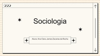 Sociologia
Aluna: Ana Clara James Zacarias da Rocha
 