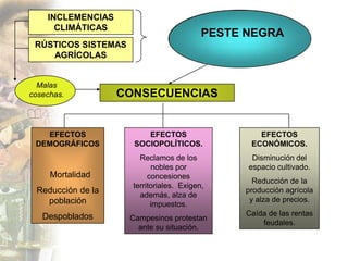 INCLEMENCIAS
      CLIMÁTICAS
                                          PESTE NEGRA
 RÚSTICOS SISTEMAS
    AGRÍCOLAS


  Malas
cosechas.          CONSECUENCIAS


   EFECTOS               EFECTOS                  EFECTOS
 DEMOGRÁFICOS         SOCIOPOLÍTICOS.           ECONÓMICOS.
                       Reclamos de los           Disminución del
                           nobles por           espacio cultivado.
     Mortalidad           concesiones
                                                 Reducción de la
                     territoriales. Exigen,
 Reducción de la       además, alza de
                                               producción agrícola
   población                                    y alza de precios.
                           impuestos.
   Despoblados                                 Caída de las rentas
                     Campesinos protestan
                                                   feudales.
                       ante su situación.
 