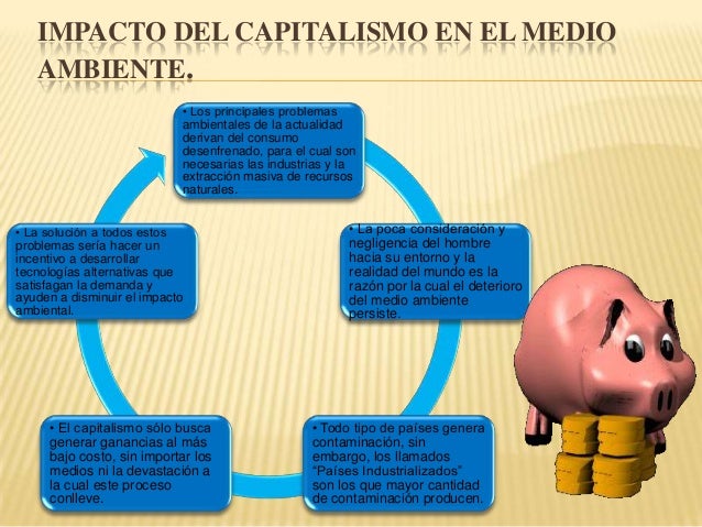 El capitalismo y el medio ambiente.