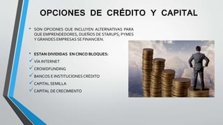 OPCIONES DE CRÉDITO Y CAPITAL
• SON OPCIONES QUE INCLUYEN ALTERNATIVAS PARA
QUE EMPRENDEDORES, DUEÑOS DE STARUPS, PYMES
Y GRANDES EMPRESAS SE FINANCIEN.
• ESTAN DIVIDIDAS EN CINCO BLOQUES:
VÍA INTERNET
CROWDFUNDING
BANCOS E INSTITUCIONESCRÉDITO
CAPITAL SEMILLA
CAPITAL DE CRECIMIENTO
 