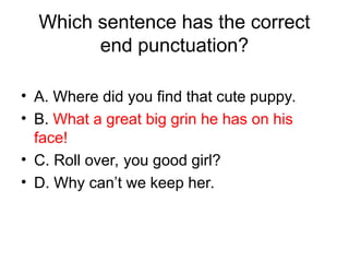 Which sentence has the correct
end punctuation?
• A. Where did you find that cute puppy.
• B. What a great big grin he has on his
face!
• C. Roll over, you good girl?
• D. Why can’t we keep her.
 