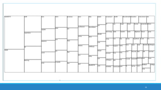 53
sub-sunburst reflecting “system” theme and linked subthemes
from synthesized article set
 