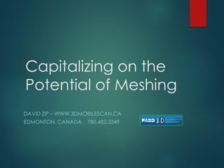 Capitalizing on the Potential of Meshing 
DAVID ZIP –WWW.3DMOBILESCAN.CA 
EDMONTON, CANADA 780.482.3349  