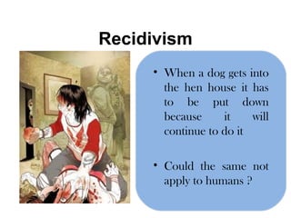 Recidivism When a dog gets into the hen house it has to be put down because it will continue to do it Could the same not apply to humans ? 