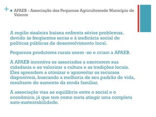 +   n    APAEB - Associação dos Pequenos Agricultoresdo Município de
          Valente



    A região sisaleira baiana enfrenta sérios problemas,
    devido às freqüentes secas e à ineficácia social de
    políticas públicas de desenvolvimento local.
    Pequenos produtores rurais unem -se e criam a APAEB.

    A APAEB incentiva os associados a exercerem sua
    cidadania e ao valorizar a cultura e as tradições locais.
    Eles aprendem a otimizar e aproveitar os recursos
    disponíveis, buscando a melhoria de seu padrão de vida,
    resultante do aumento da renda familiar.

    A associação visa ao equilíbrio entre o social e o
    econômico, já que tem como meta atingir uma completa
    auto-sustentabilidade.
 