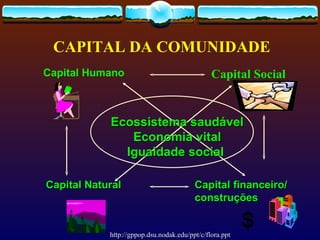 CAPITAL DA COMUNIDADE
Capital Humano                                 Capital Social


            Ecossistema saudável
               Economia vital
              Igualdade social

Capital Natural                          Capital financeiro/
                                         construções


            http://gppop.dsu.nodak.edu/ppt/c/flora.ppt
 
