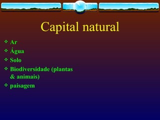 Capital natural
 Ar
 Água
 Solo
 Biodiversidade (plantas
  & animais)
 paisagem
 