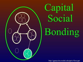 Capital
Social
Bonding

http://gppop.dsu.nodak.edu/ppt/c/flora.ppt
 